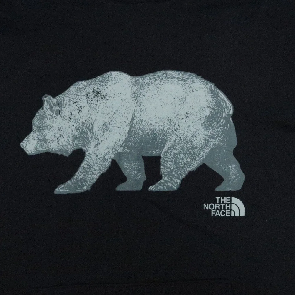 The North Face north face